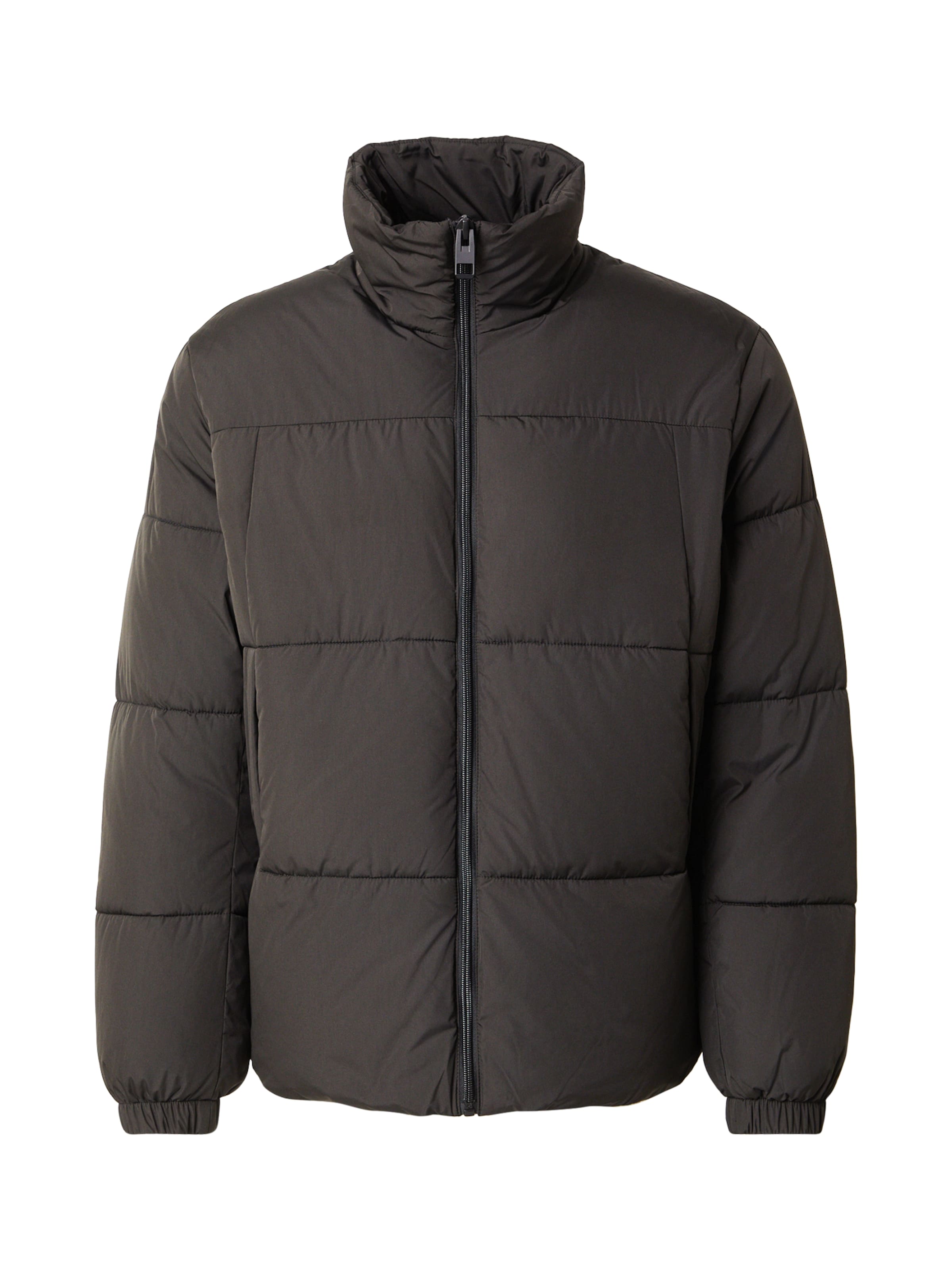 Only & Sons Демисезонная куртка 'ONSDAVID' в Черный, Обзор товара