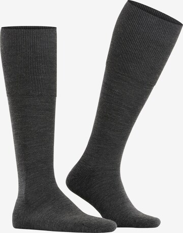 FALKE Knee High Socks 'Airport Plus' in Grey: front