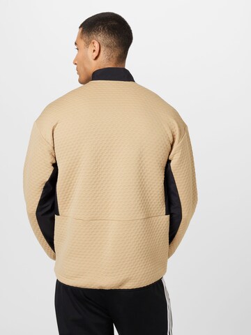 ADIDAS TERREX Sportpullover 'Hike' in Beige