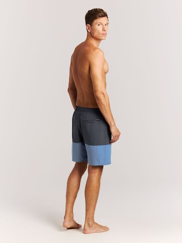 PROTEST Board Shorts 'PRTCabus' in Blue