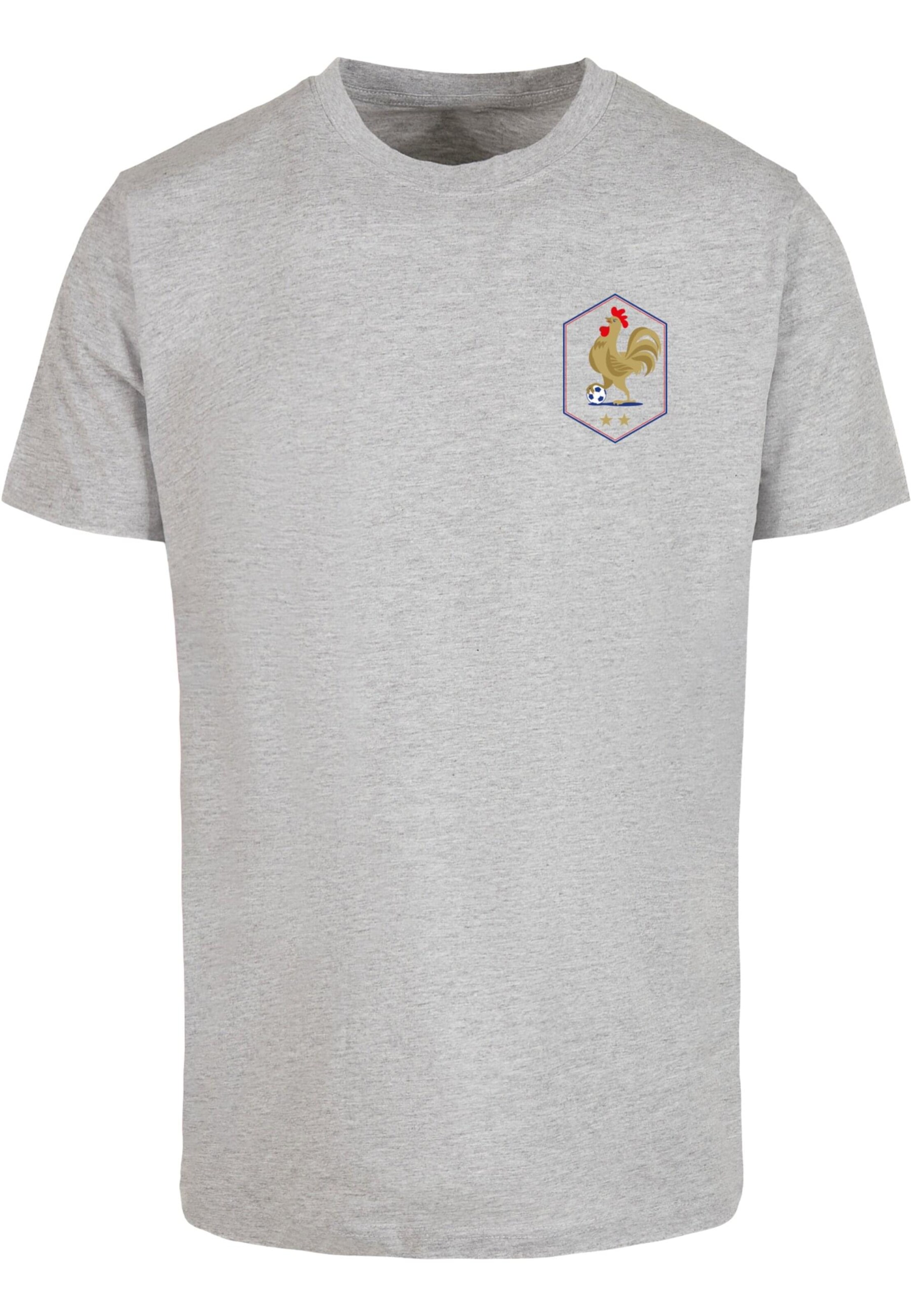 T-Shirt 'Équipe Tri Color 2.0' Mister Tee en gris : devant