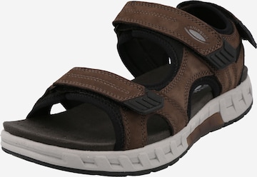Pius Gabor Trekking sandal in Brown: front