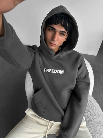 Kleidermafia Sweatshirt in Grey