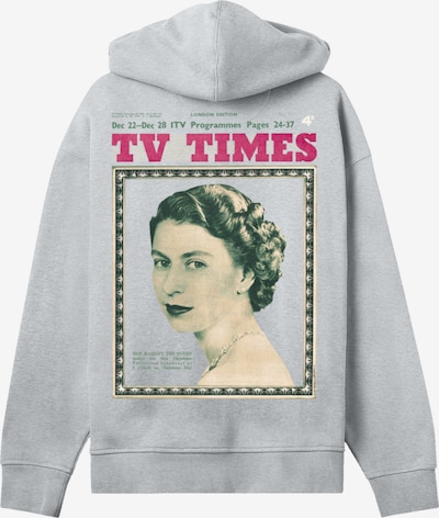 F4NT4STIC Hoodie in grau / grün / rot, Produktansicht