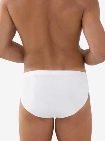 Mey Slip 'Casual Cotton' in White