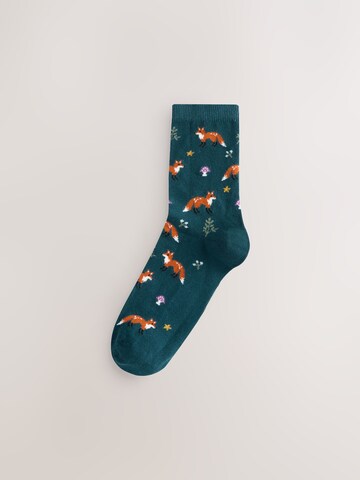 Next Socks in Mixed colours