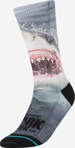 Stance Sportsocken 'PEARLY WHITES' in Blau: predná strana