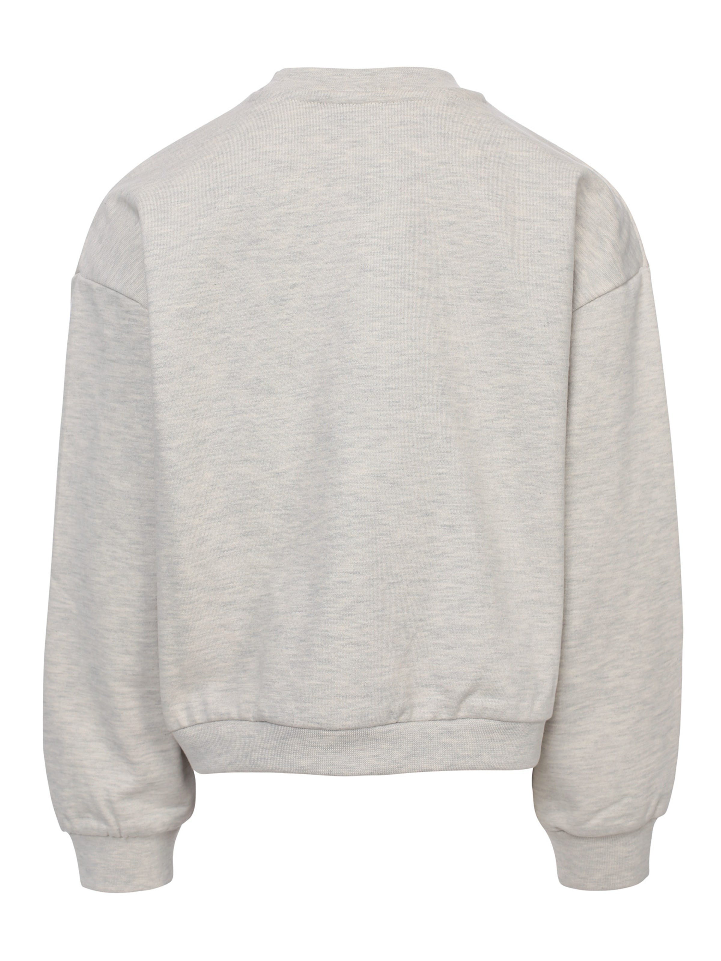Sweat-shirt Looxs Revolution en gris