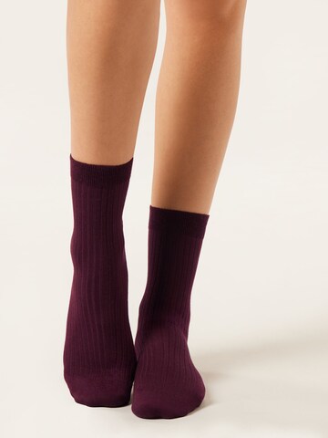 CALZEDONIA Socks in Red