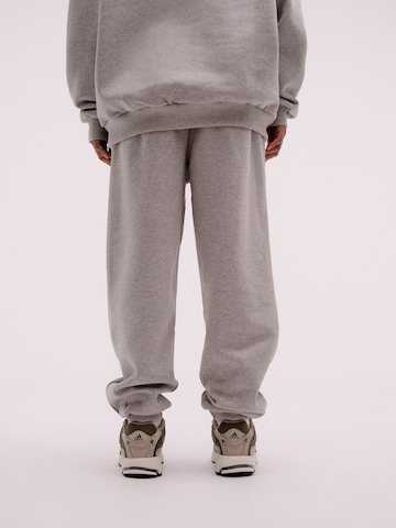 Pacemaker Tapered Pants 'Mio' in Grey