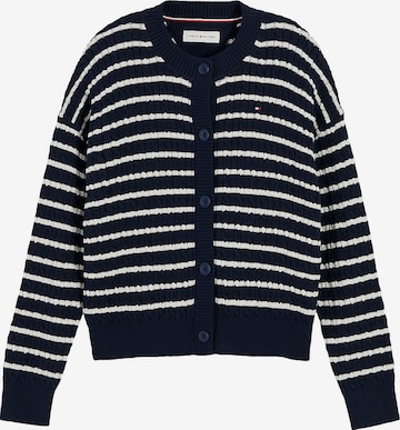 TOMMY HILFIGER Knit cardigan in Blue: front