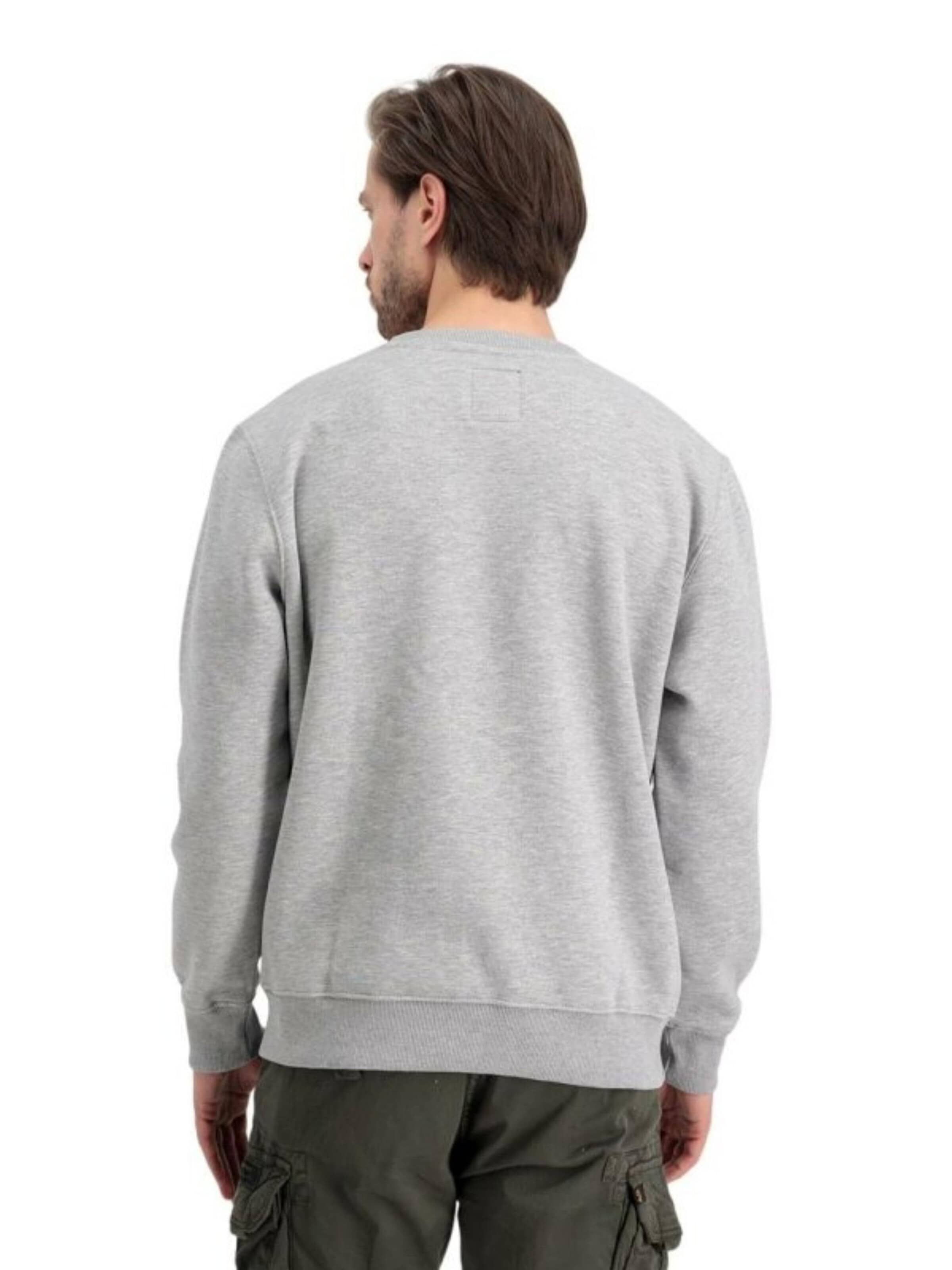 ALPHA INDUSTRIES Bluzka sportowa 'Basic Logo' w kolorze szary