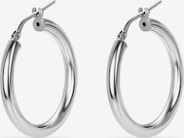 FAVS Earrings in Silver: front