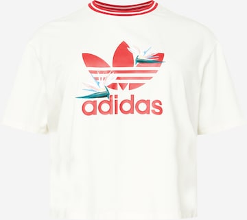 ADIDAS ORIGINALS Тениска 'Thebe Magugu' в бяло: отпред