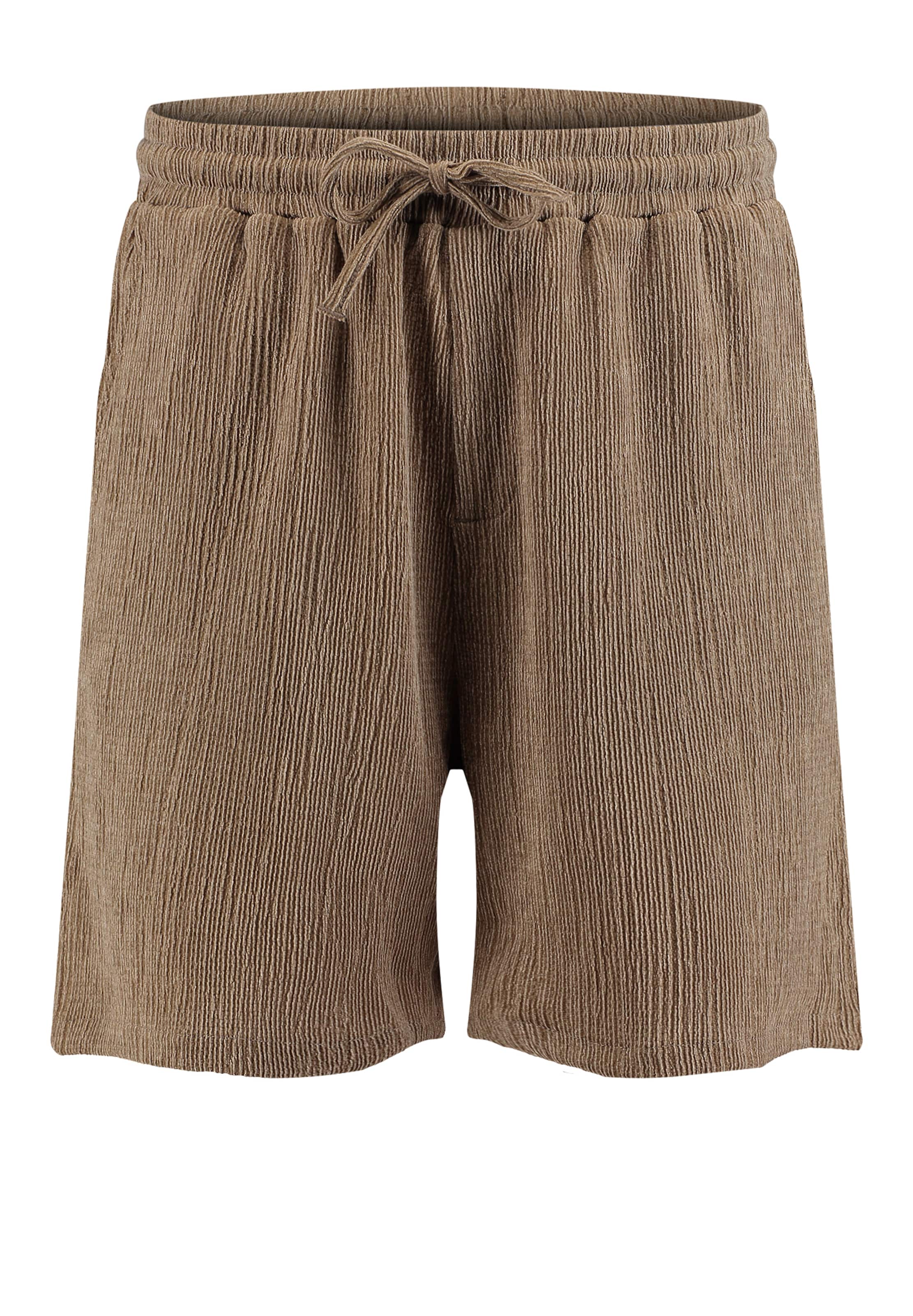 Regular Pantalon 'KLFINLAND' Key Largo en marron : devant