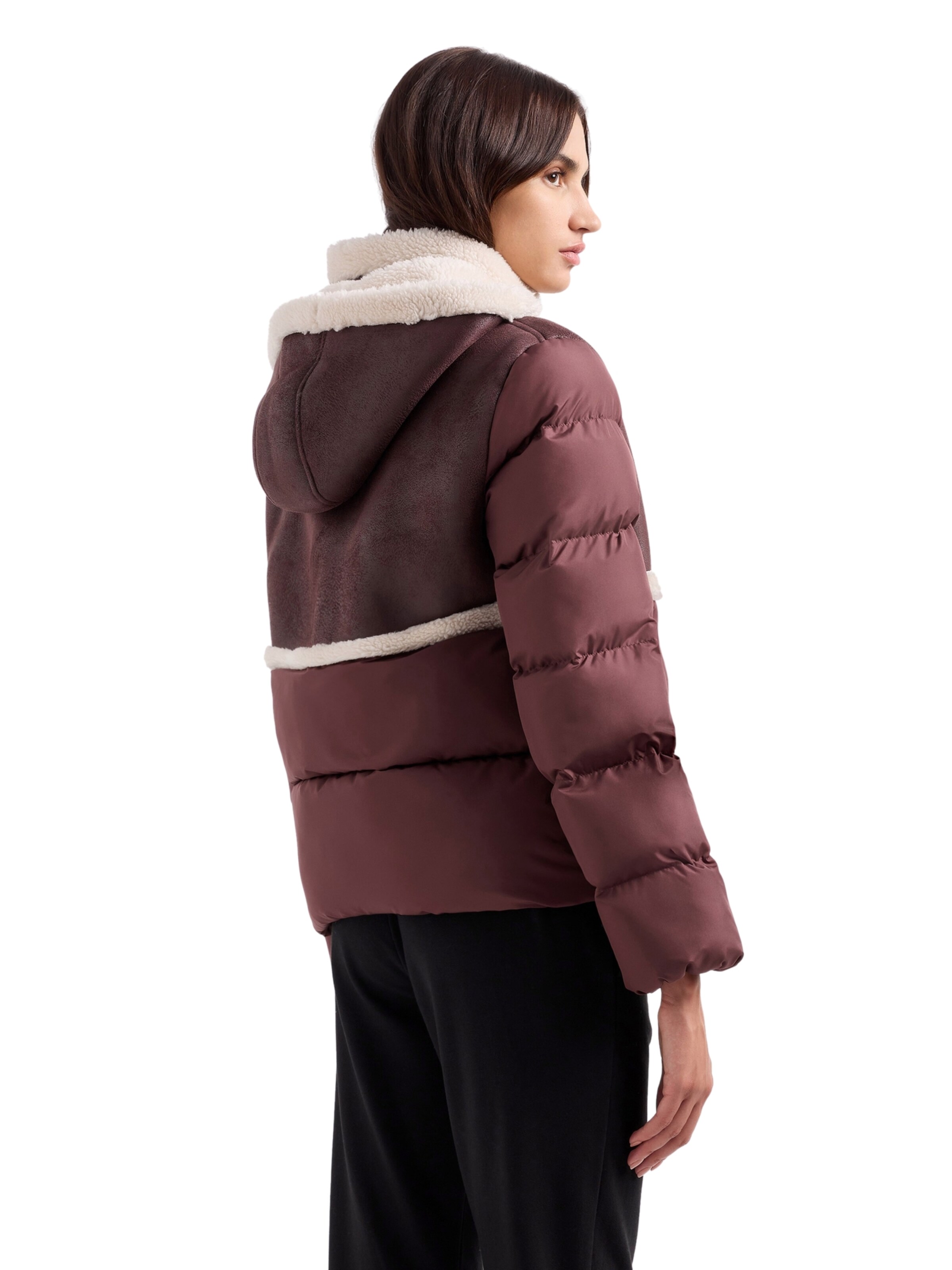 EA7 Emporio Armani Winter jacket in Brown
