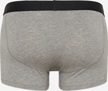 Gilly Hicks Boxer shorts in Grey