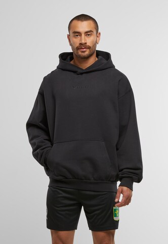 Colucci Sweatshirt 'Ikarus' in Bruin