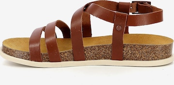 Kickers Sandalen met riem 'Kick Alice' in Bruin: voorkant