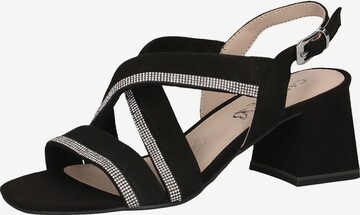 CAPRICE Sandals in Black: front