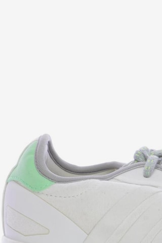 Stellasport schuhe outlet