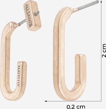 AllSaints Oorbellen in Goud