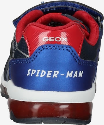 GEOX Sneakers in Blauw