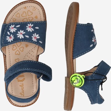 LURCHI Sandal in Blue