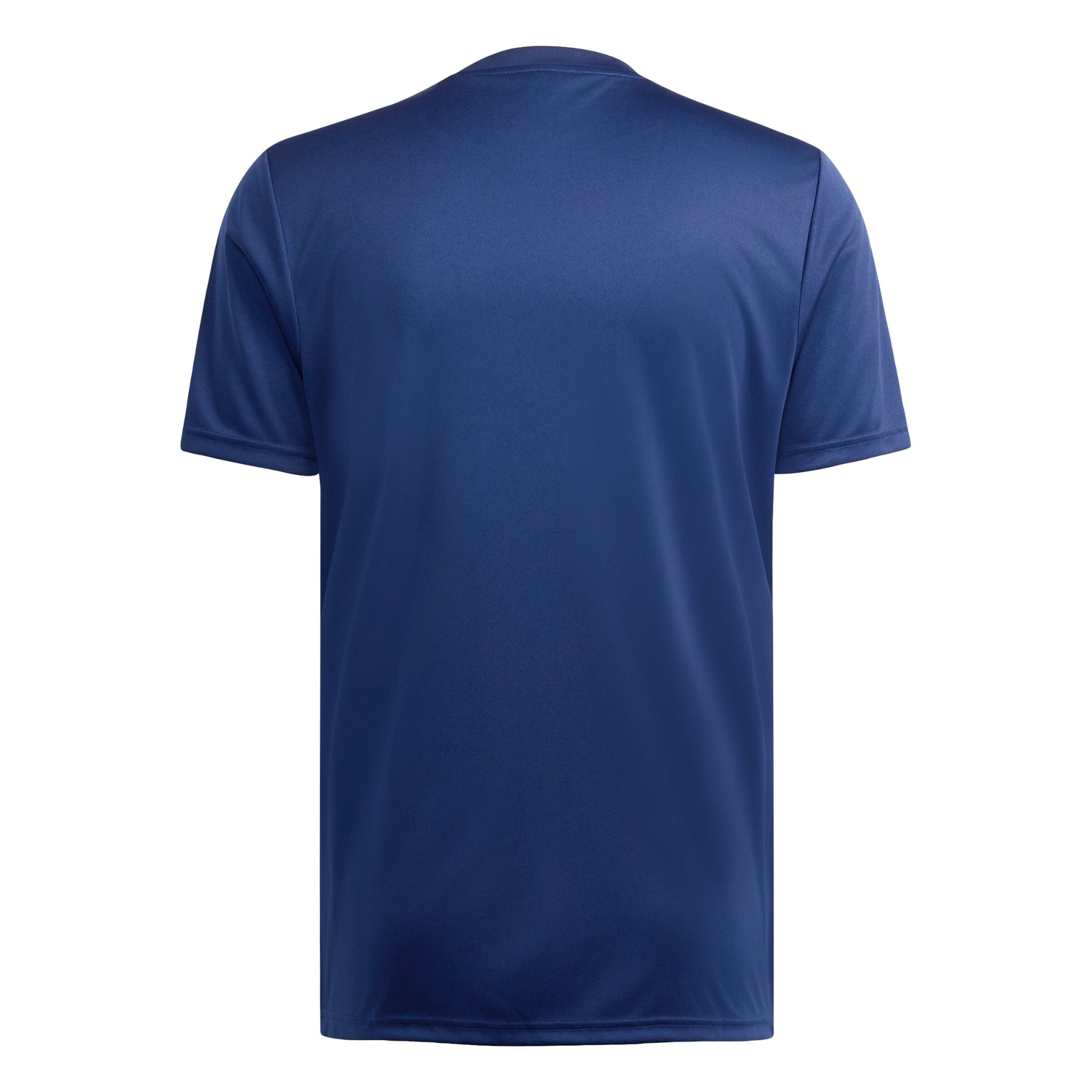 ADIDAS PERFORMANCE Performance shirt 'FIFA Fussball-Weltmeisterschaft 26™ USA' in Blue