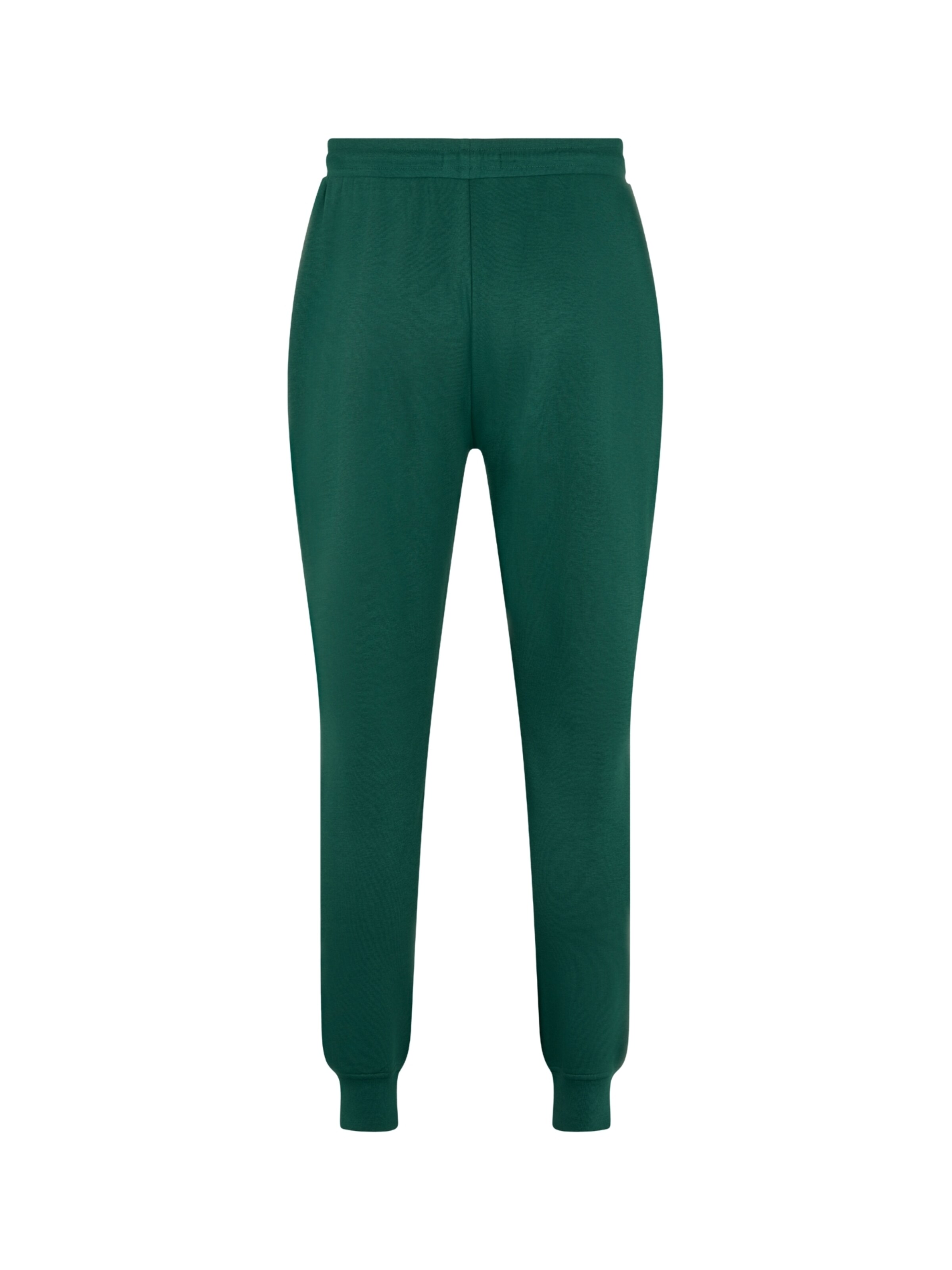 U.S. POLO ASSN. Tapered Pants 'Terkel' in Green