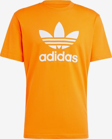 oranžs ADIDAS ORIGINALS T-Krekls 'Adicolor Trefoil': no priekšpuses