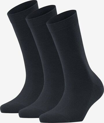 FALKE Socks in Black: front