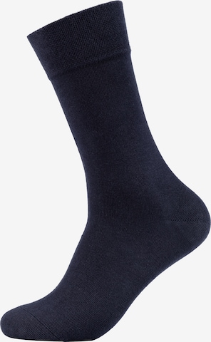 camano Socks in Blue