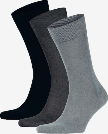 FALKE Socken in Grau