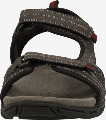 Sandales de randonnée 'Mito' GEOX en noir
