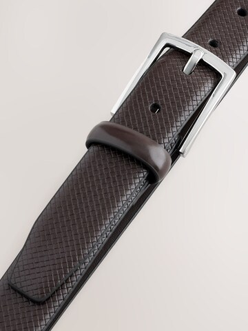 Next Belt in Brown