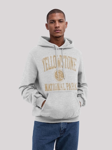 Sweat-shirt F4NT4STIC en gris : devant