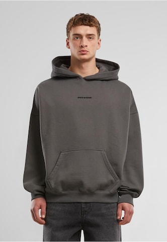 Pegador Sweatshirt 'Boxy' in Grey: front