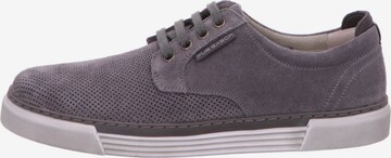 Pius Gabor Sneakers in Grey