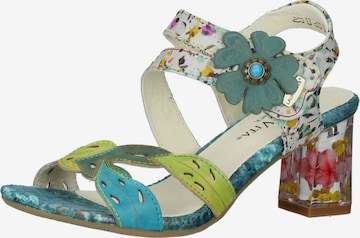 Laura Vita Strap Sandals in Mixed colors: front