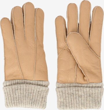 Whistler Full Finger Gloves 'Desiree' in Brown