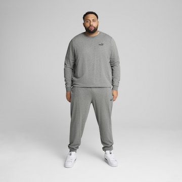 PUMA Regular Broek 'Essentials No. 1' in Grijs