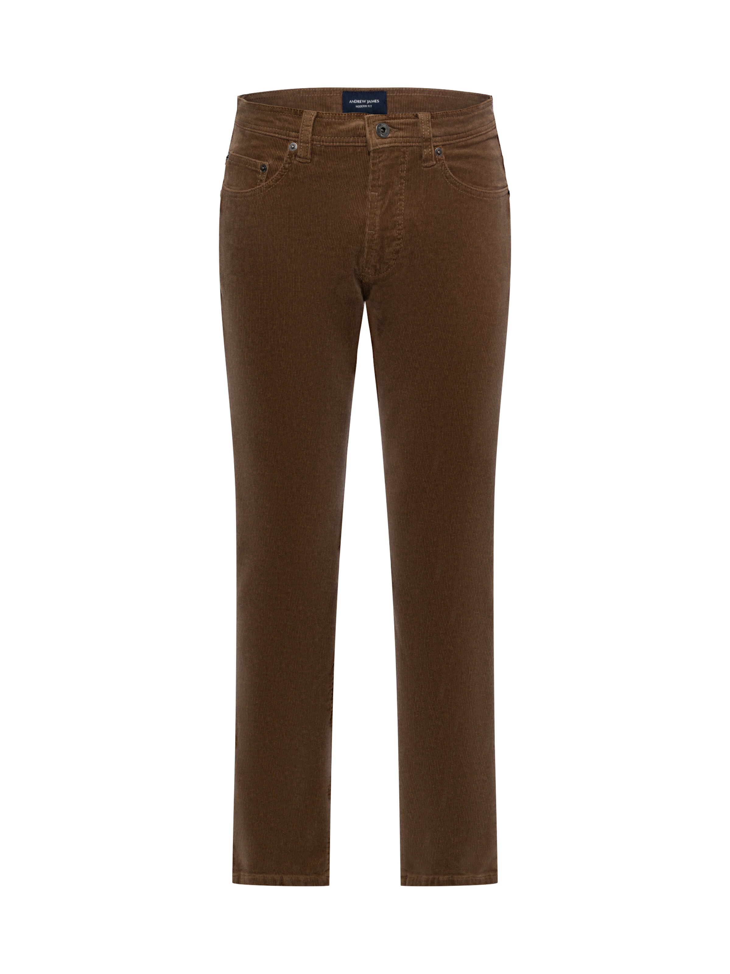 Nils Sundström Pants 'Aiden' in Brown: front