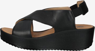 IGI&CO Sandals in Black