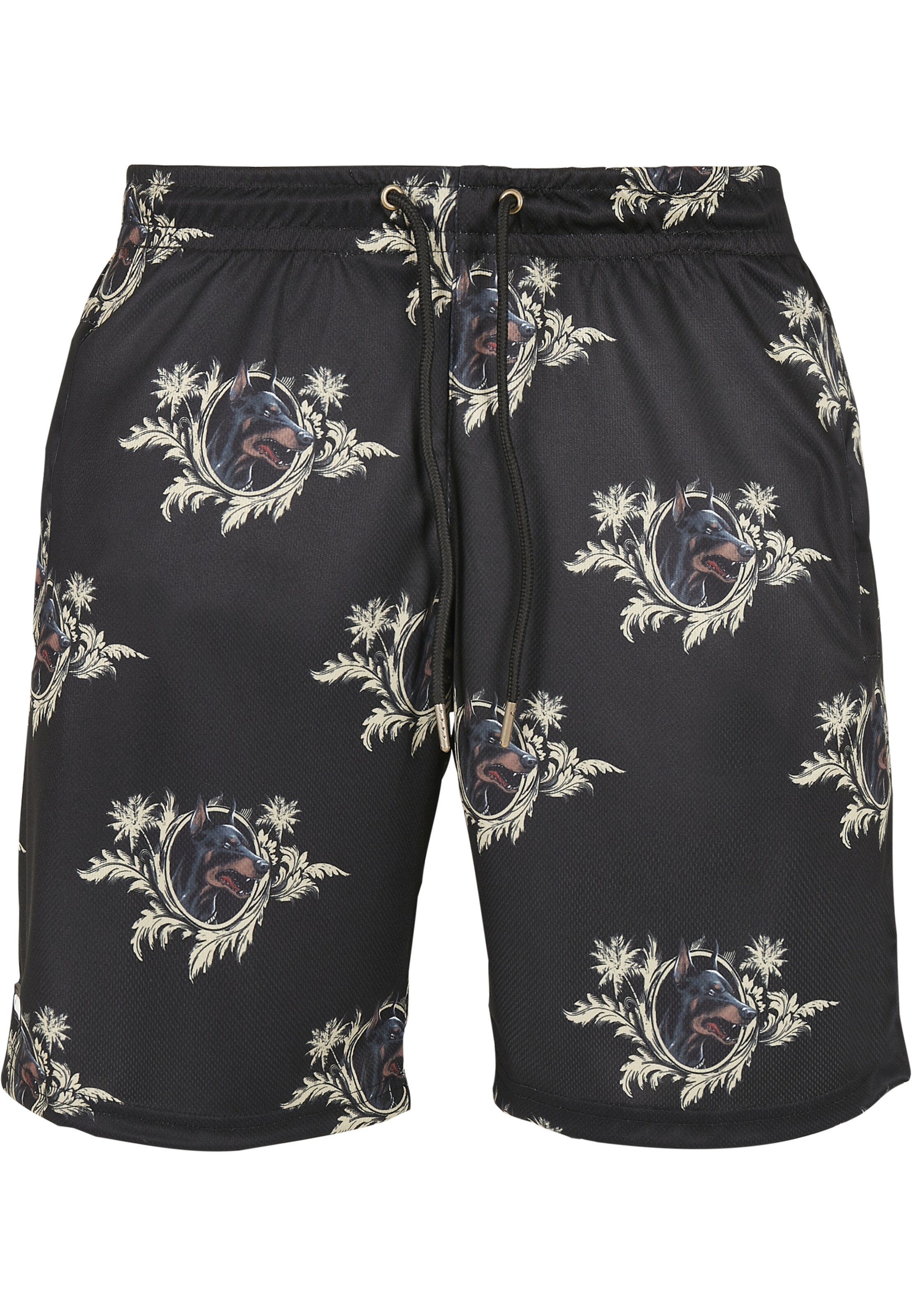 Cayler & Sons Regular Shorts in Schwarz: Vorderseite