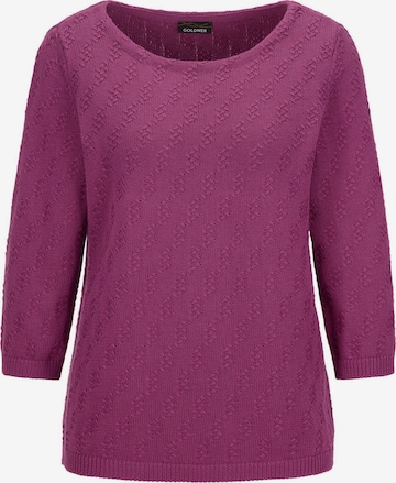 Pull-over Goldner en violet : devant