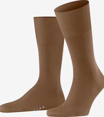FALKE Socks 'Airport' in Brown: front