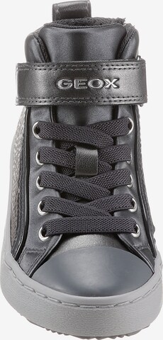 GEOX Sneakers 'Kalispera' in Grey