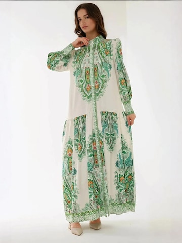 Hiccup Kleid in Grün
