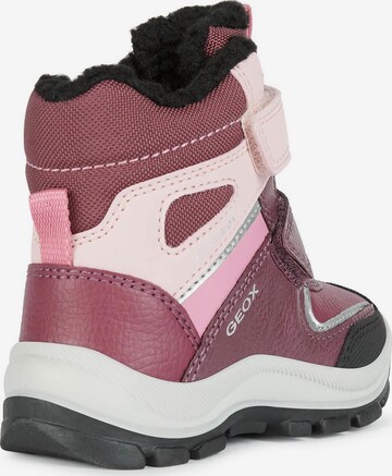 GEOX Stiefelette in Lila